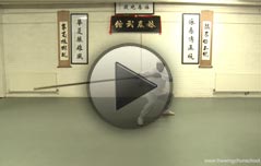Lok Dim Boon Kwun - (six & half point pole)