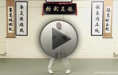 Wing Chun - Siu Nim Tao  - Siu Nim Tao (Little idea)