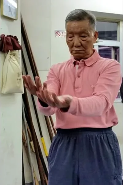 Grandmaster Ip Ching